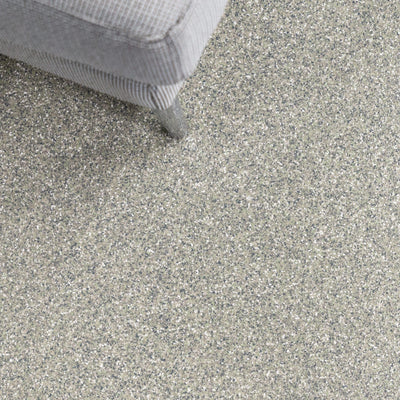 Thyme Flakes FB-977